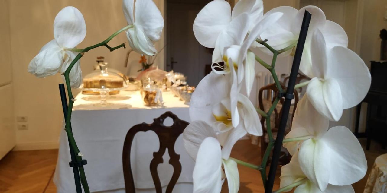 Bed and Breakfast La Belle Coquette Como Exterior foto
